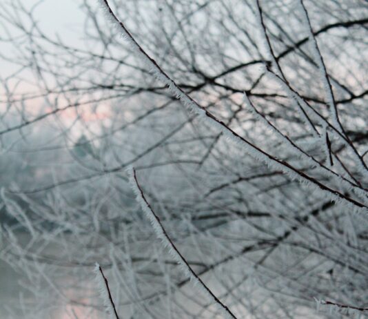 스트레스를 날리는 겨울철 활동 a red fire hydrant sitting on the side of a road