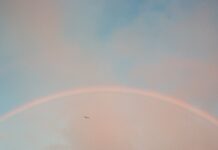 여성 건강, 새로운 일상 관리법으로 더 가까이 rainbow under blue sky during daytime