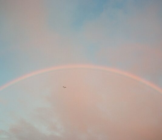 여성 건강, 새로운 일상 관리법으로 더 가까이 rainbow under blue sky during daytime